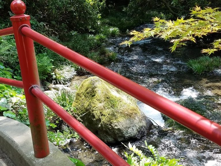 白川水源へ至る小路脇の小川